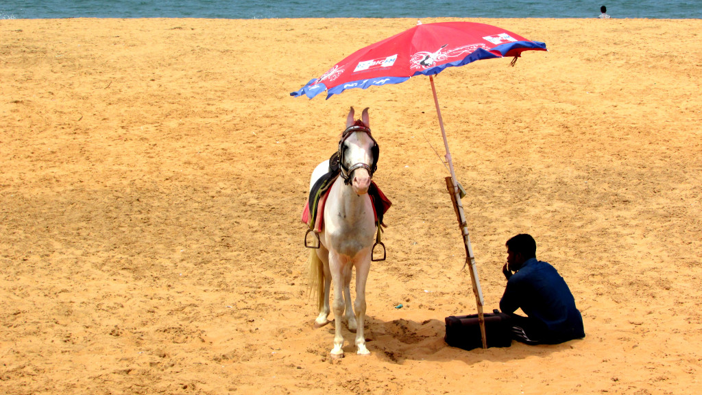 horse-riding-at-shankumugham-beach-1024x576